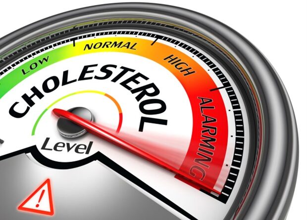 New research reveals the effect of the keto diet on cholesterol and the gut microbiome